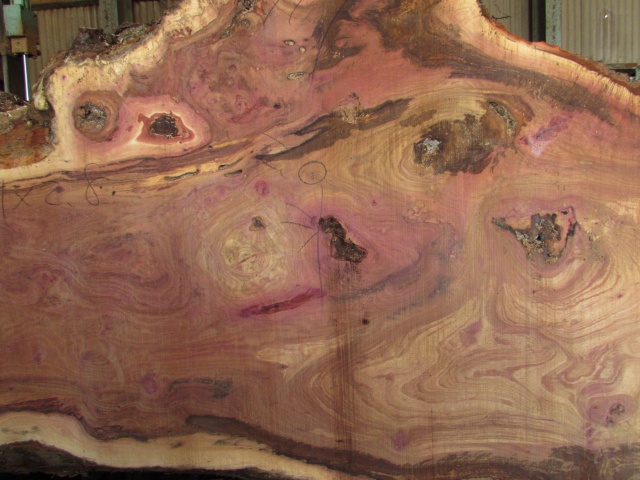 椨（タブ）　無垢材