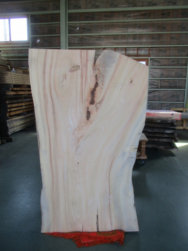 楠（クス）　一枚板