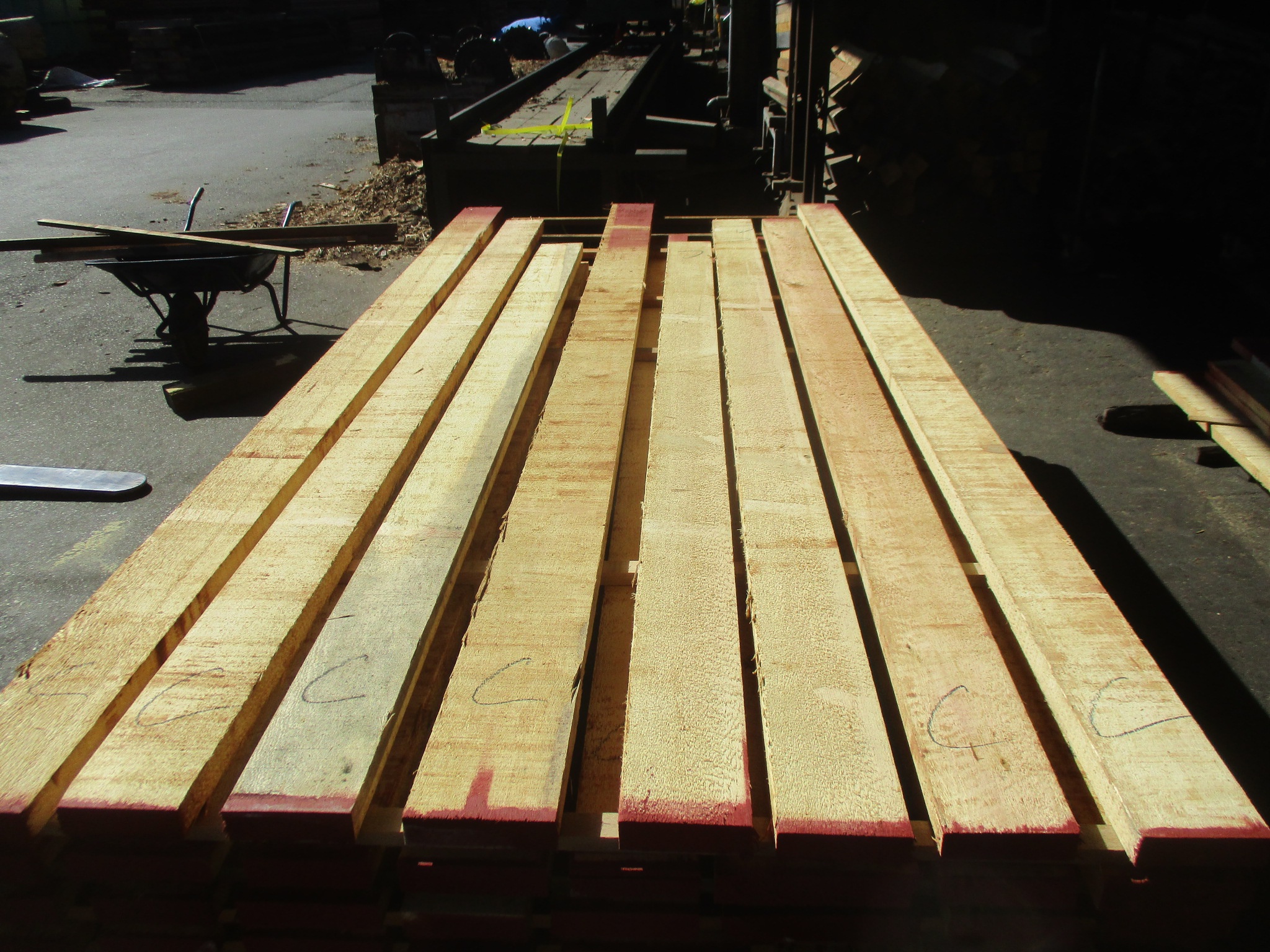 米檜葉（ベイヒバ）　無垢材