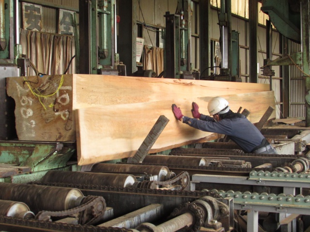 ペルポック　無垢材