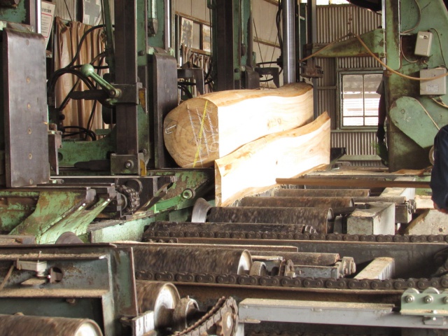 檜（ヒノキ）　無垢材