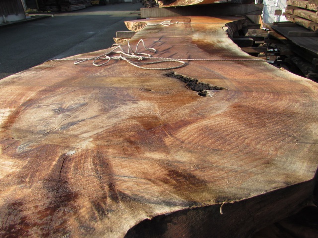 バストーンウォールナット　無垢材