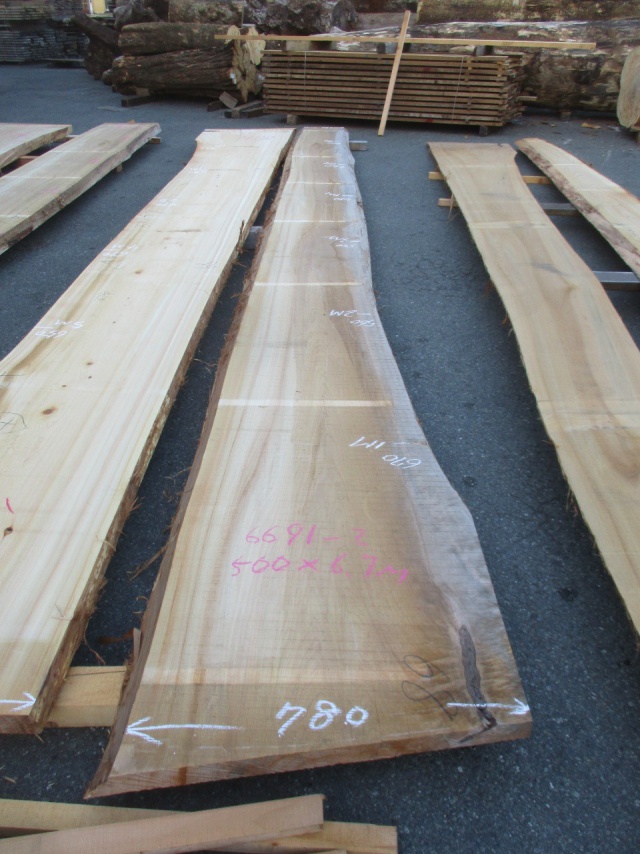 檜（ヒノキ）　一枚板