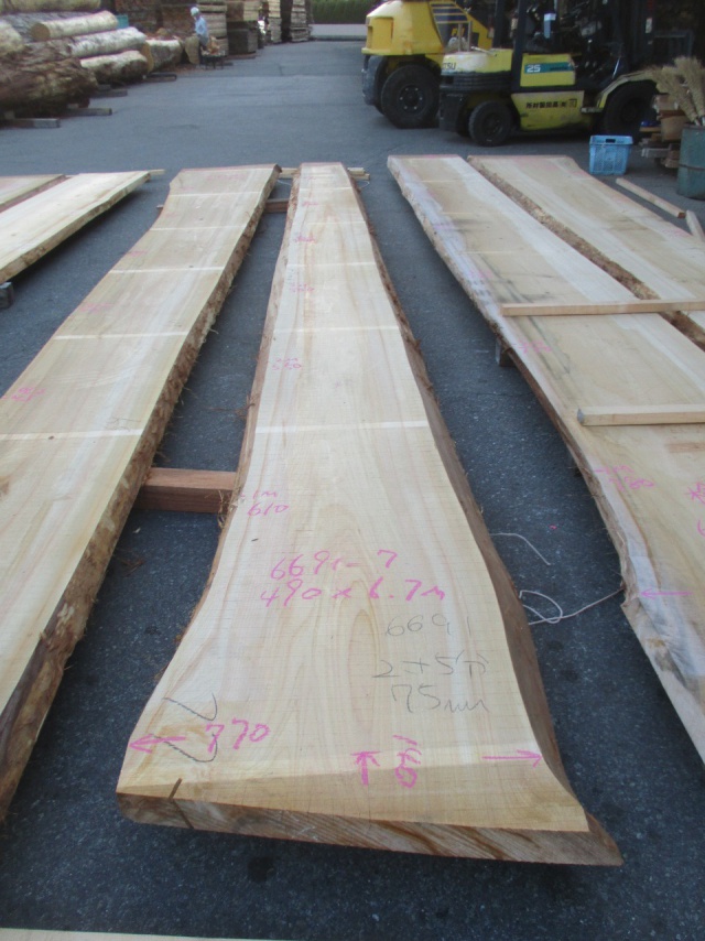 檜（ヒノキ）　一枚板