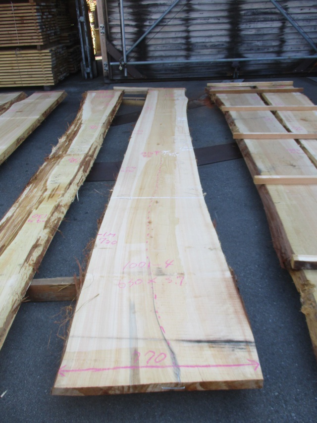 檜（ヒノキ）　一枚板