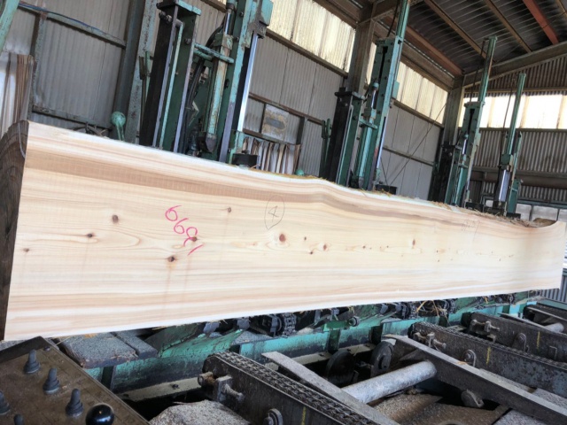 檜（ヒノキ）　一枚板