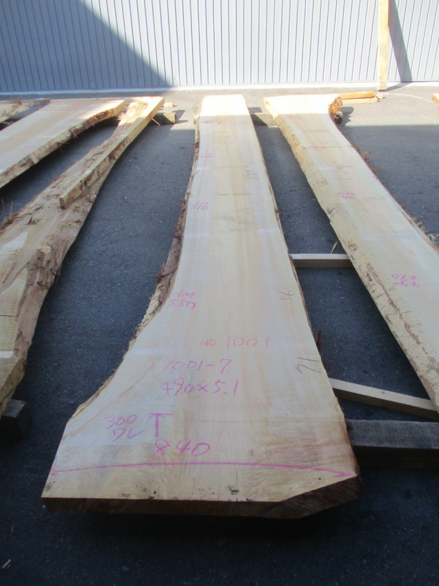 檜（ヒノキ）　一枚板