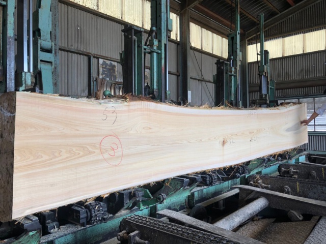 檜（ヒノキ）　一枚板