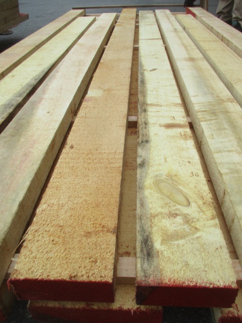 米檜葉（ベイヒバ）　無垢材