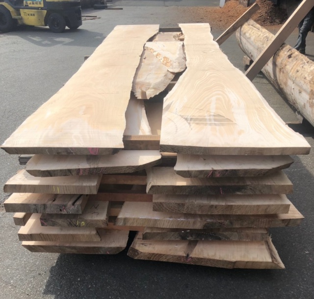 椈（ブナ）　無垢材