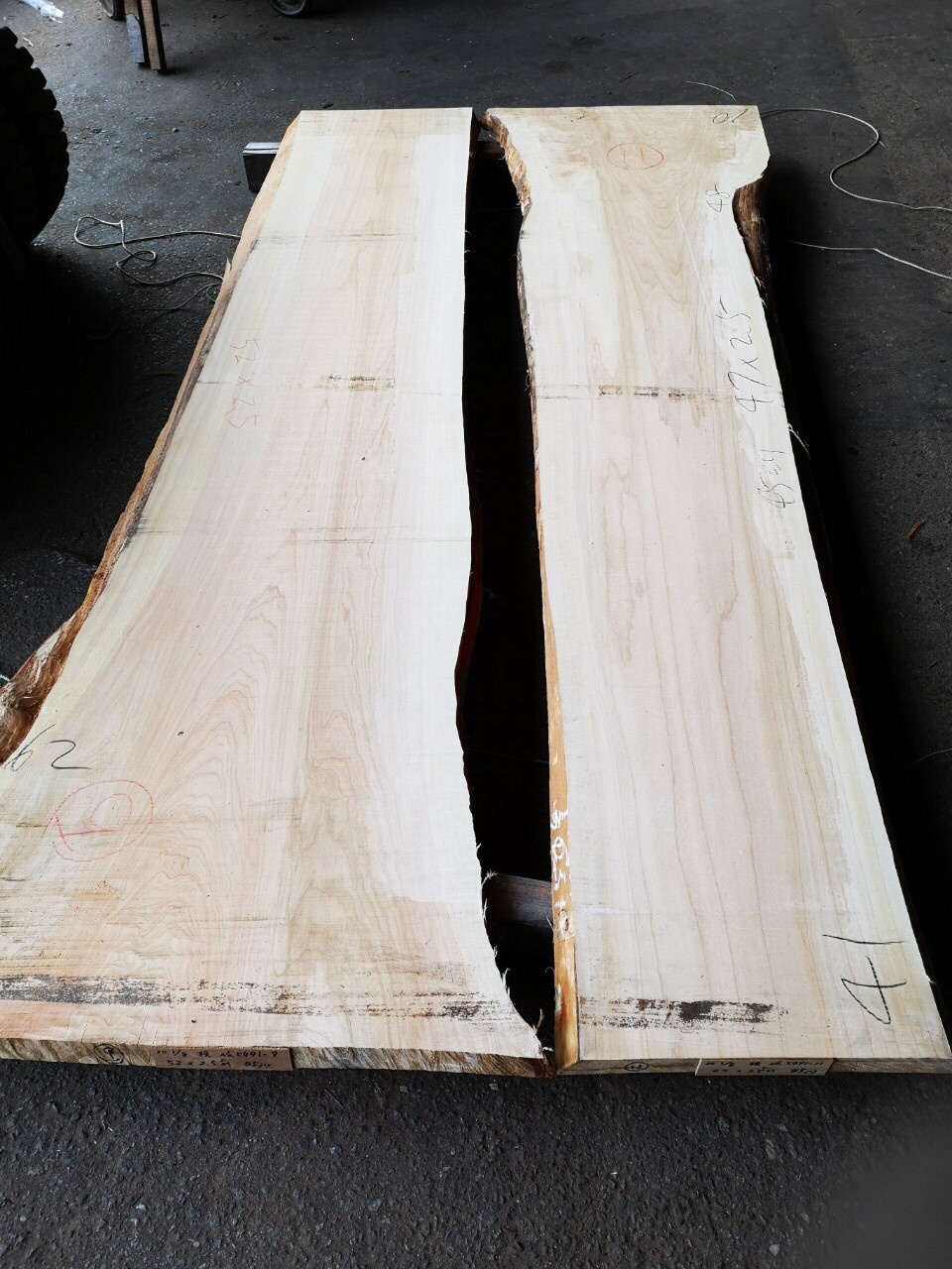 杉（スギ）　無垢材