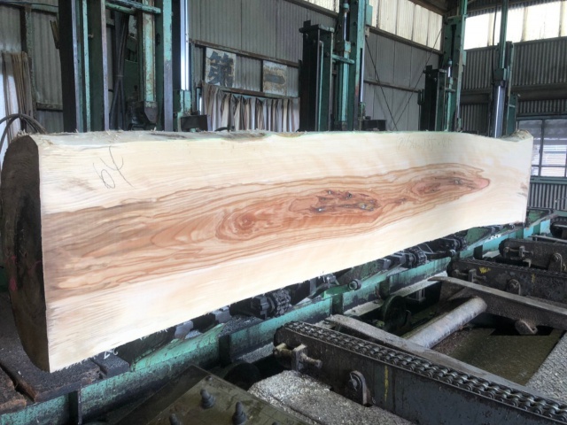 椈（ブナ）　無垢材