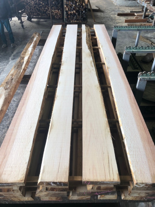 一位樫（イチイカシ）　無垢材