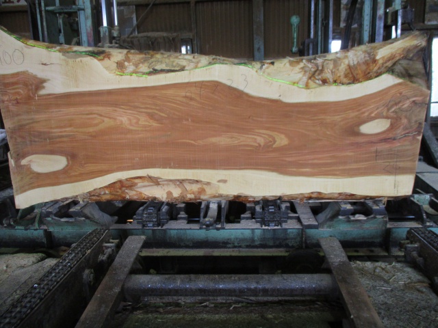 山桜（ヤマザクラ）　一枚板