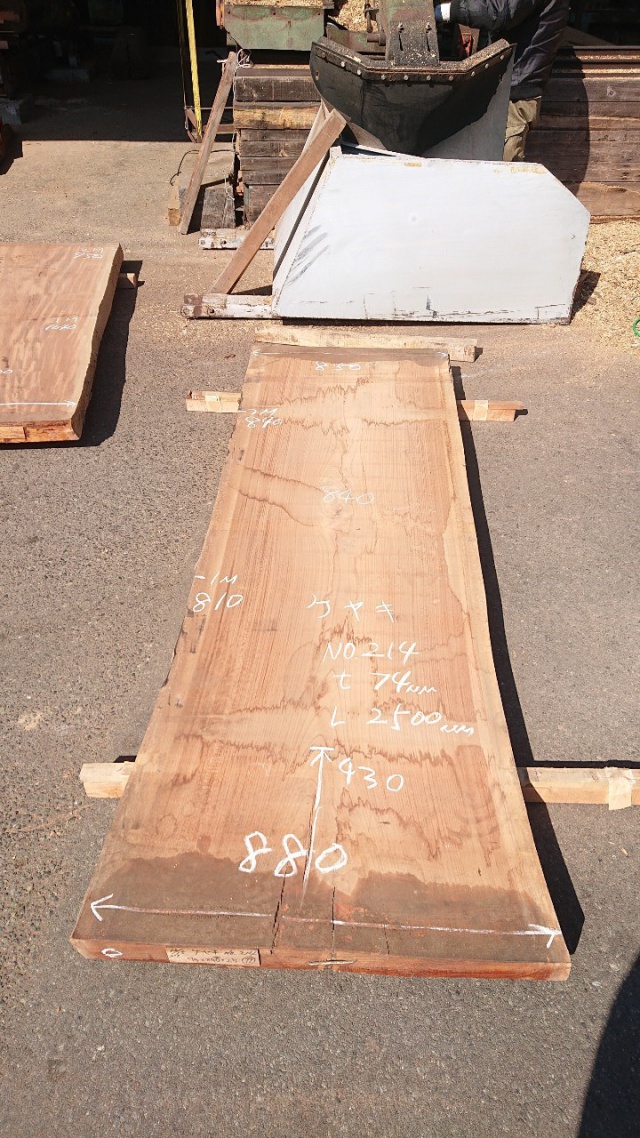 欅（ケヤキ）　一枚板