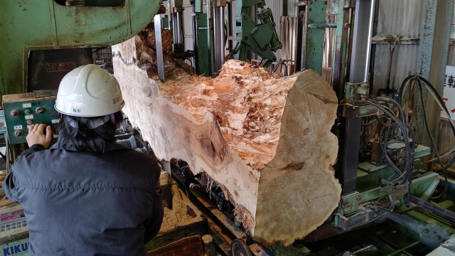 ポプラ　無垢材