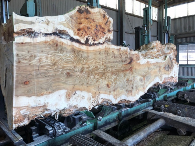 ポプラ　無垢材