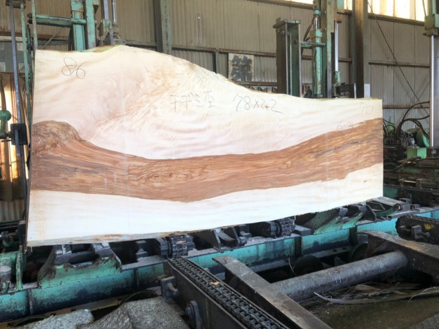 栃（トチ）　無垢材