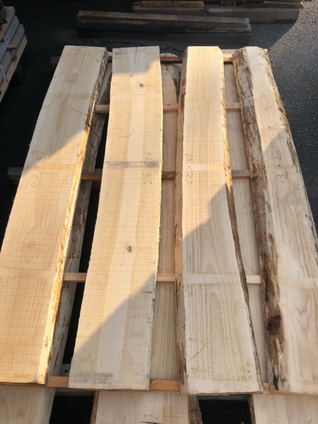 水木（ミズキ）　無垢材