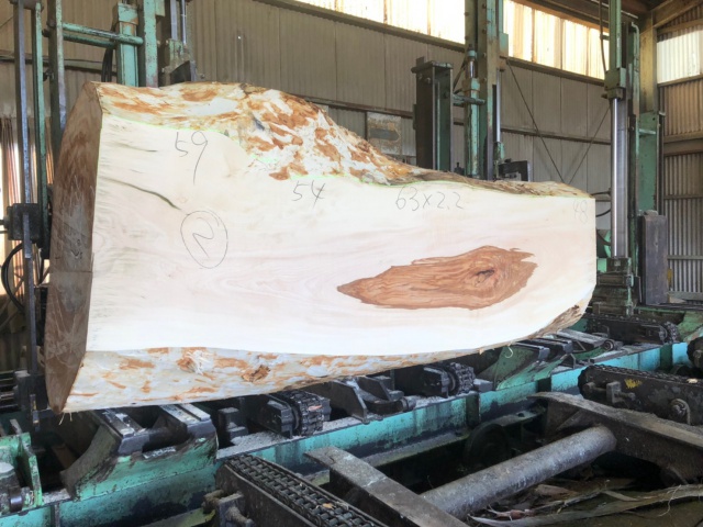 栃（トチ）　無垢材