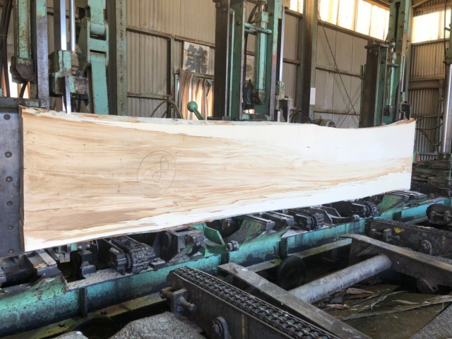 栃（トチ）　無垢材