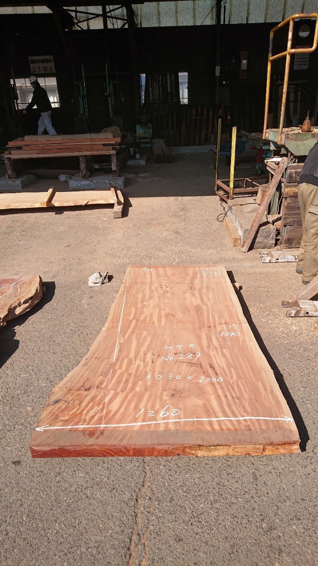 欅（ケヤキ）　一枚板