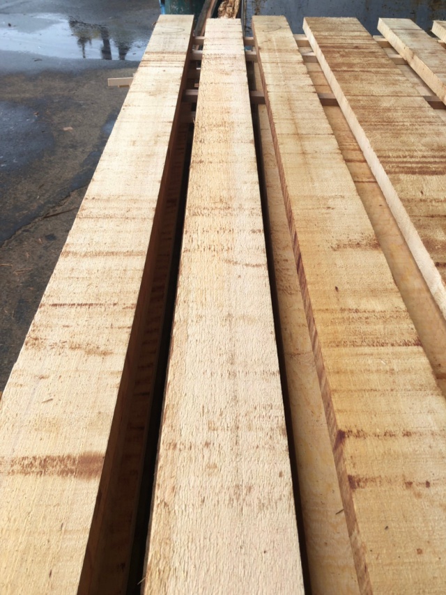 米檜葉（ベイヒバ）　無垢材