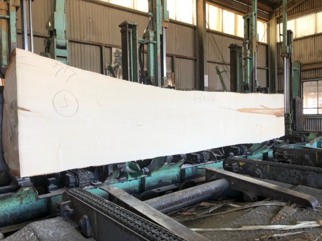 栃（トチ）　無垢材