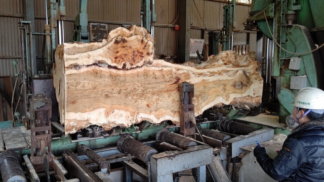 ポプラ　無垢材