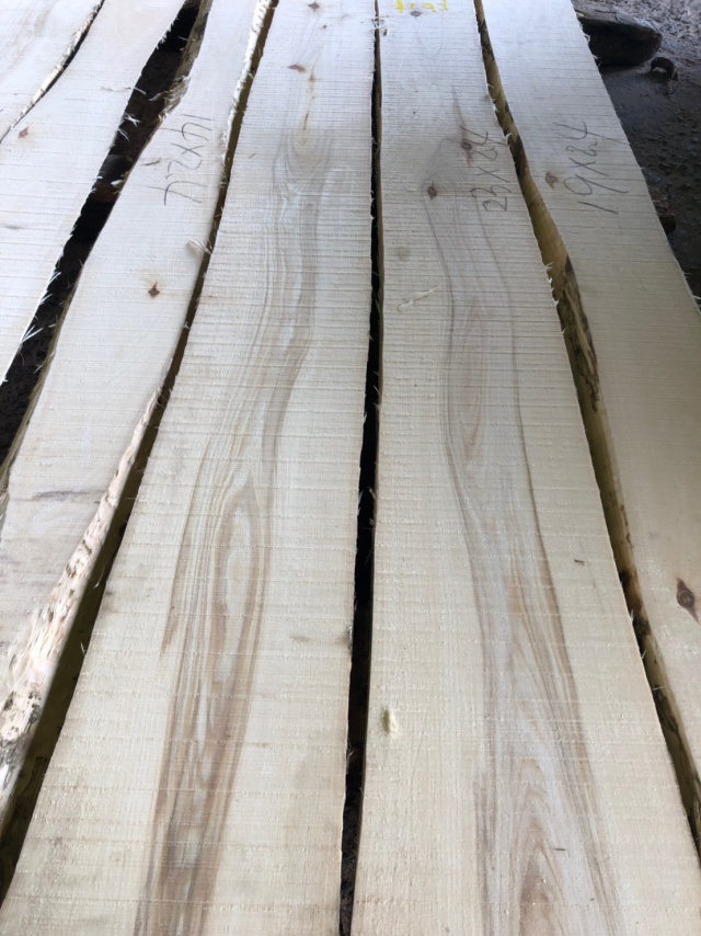 泥の木（ドロノキ） 無垢材