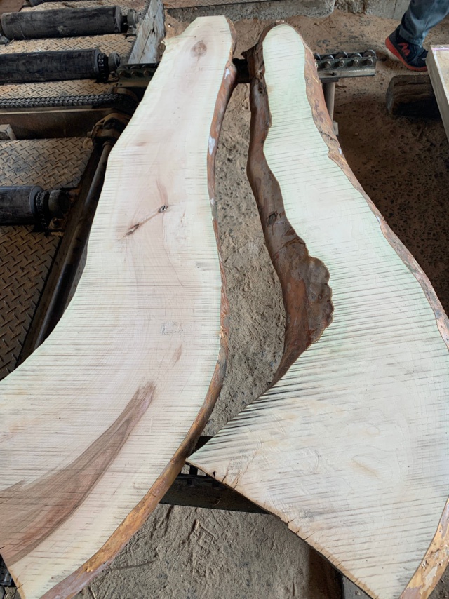 百日紅（サルスベリ）　無垢材