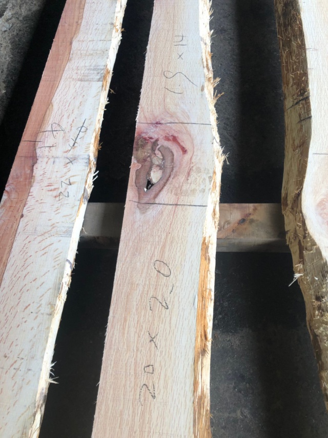 一位樫（イチイカシ）　無垢材