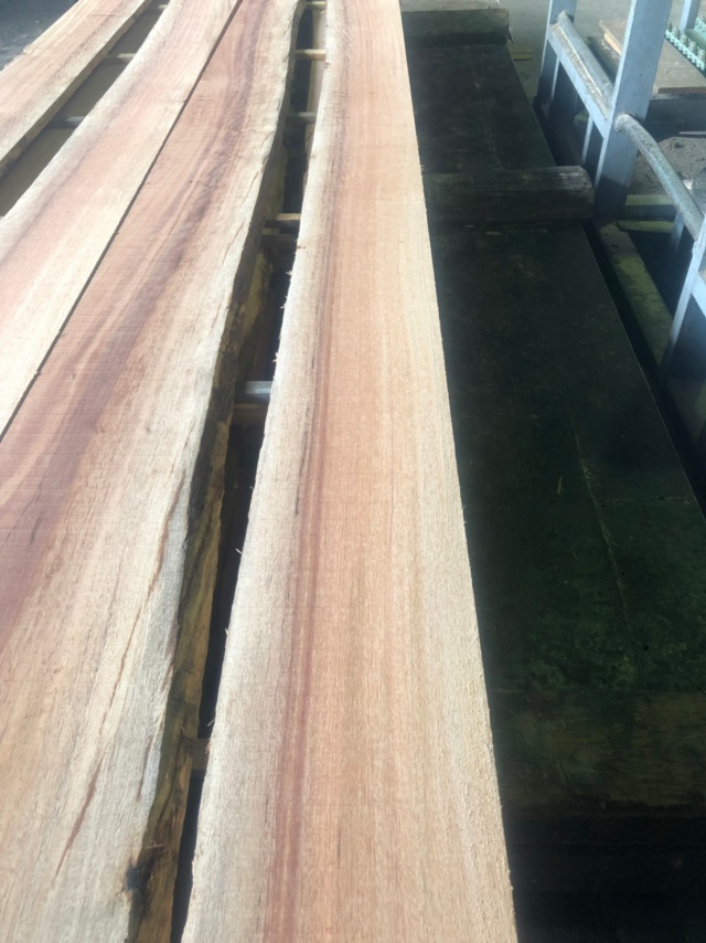 タウン　無垢材