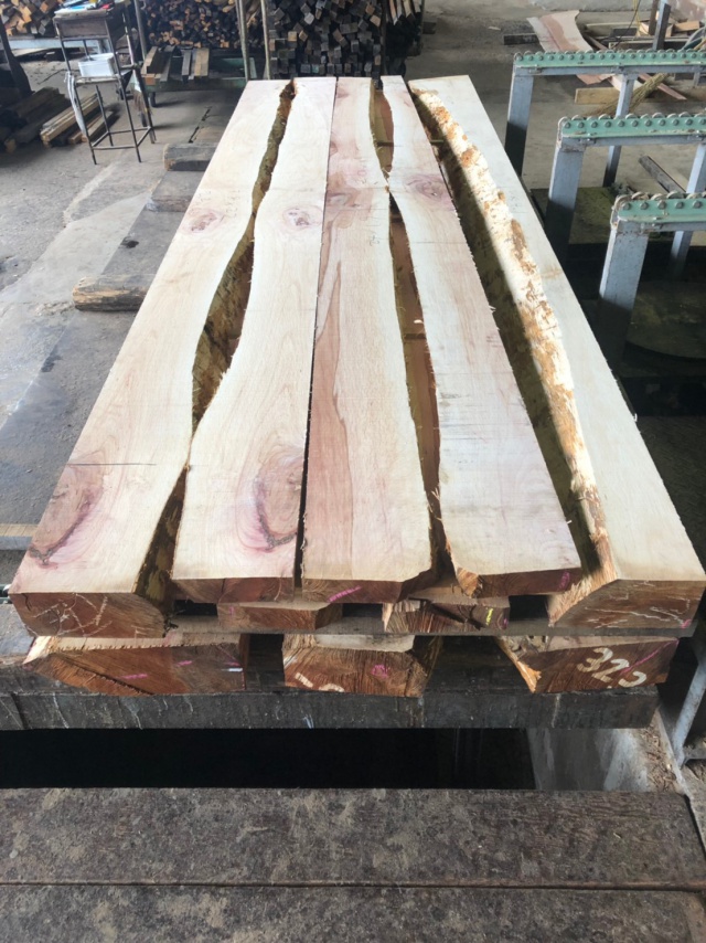 一位樫（イチイカシ）　無垢材