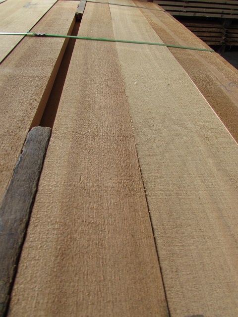 アガチス　無垢材