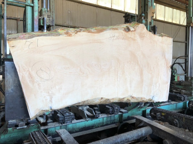 楓（カエデ）　無垢材