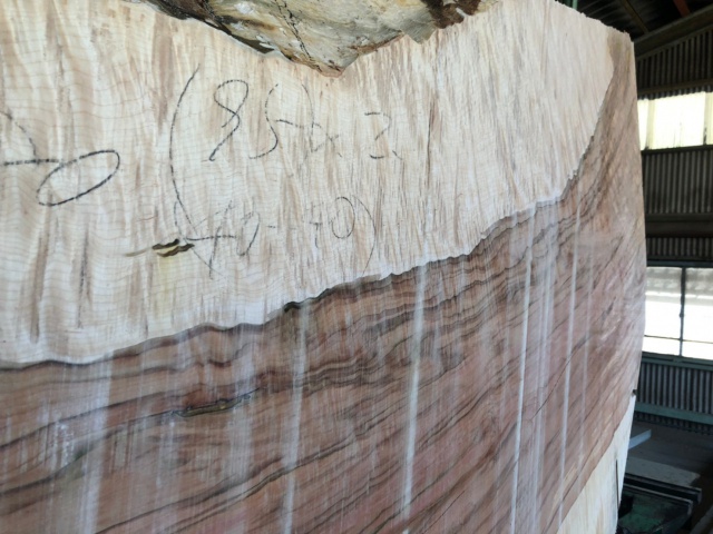 楓（カエデ）　無垢材