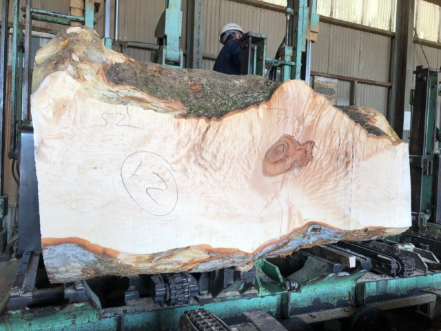 楓（カエデ）　無垢材