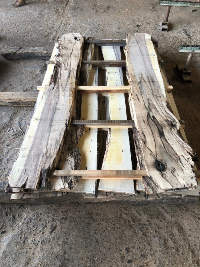 柿（カキ）　無垢材