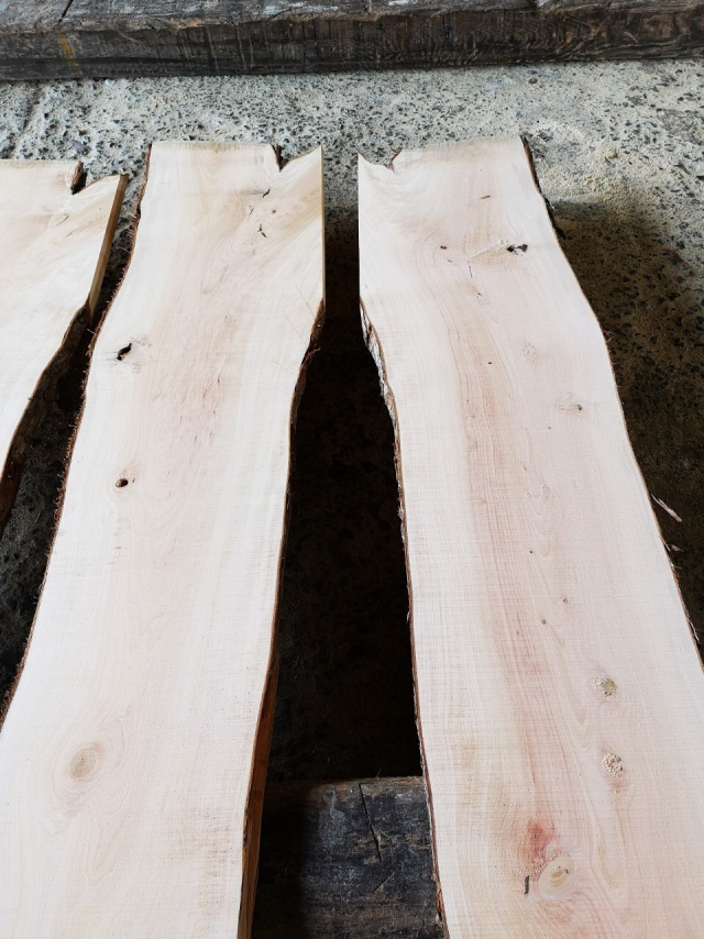 犬槇（イヌマキ）　無垢材