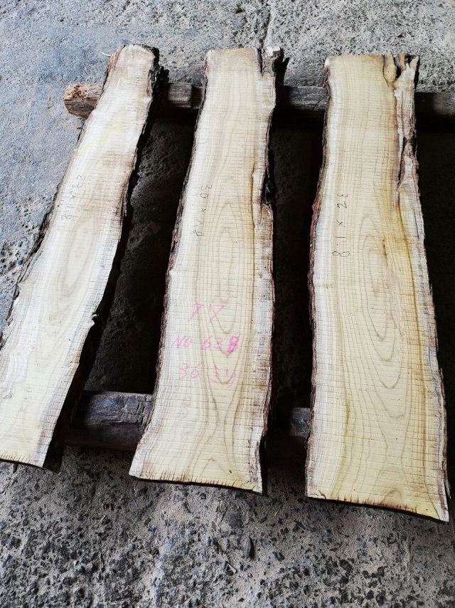 桑（クワ）　無垢材