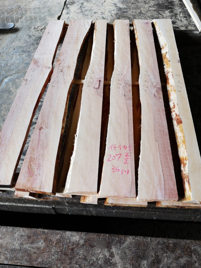 一位樫（イチイカシ）　無垢材