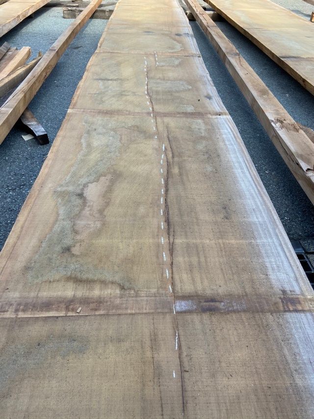 アサメラ　一枚板