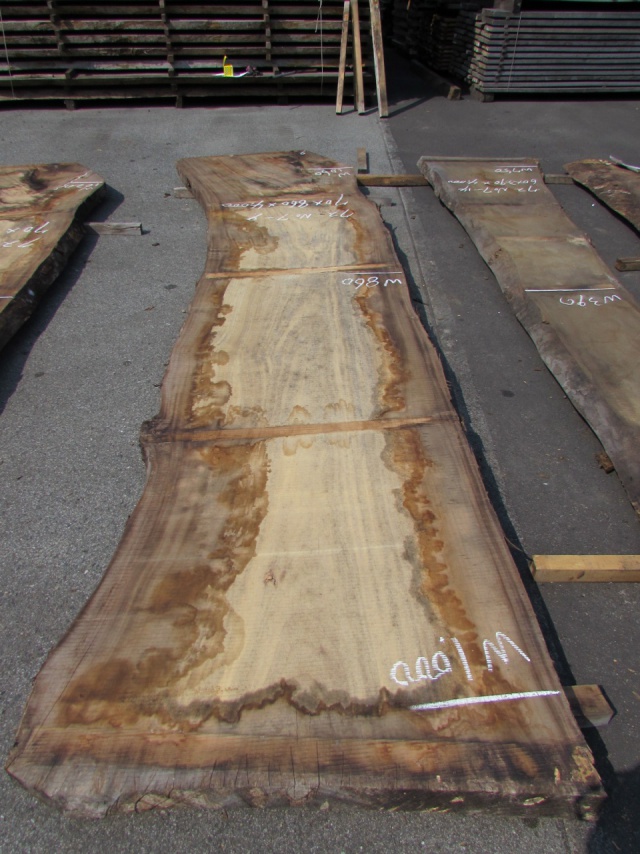 楠（クス）　一枚板