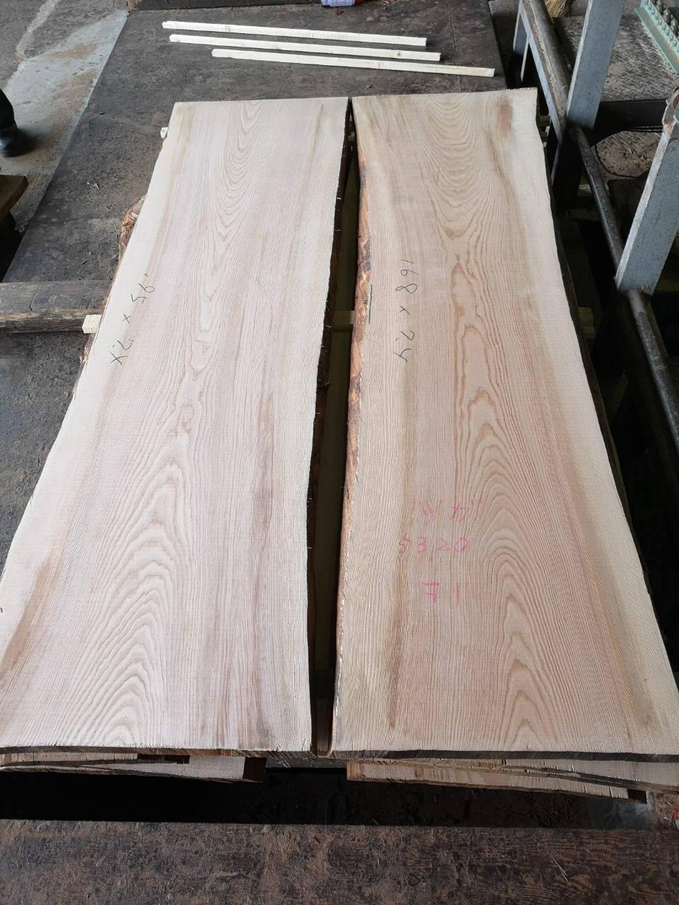 栂(ツガ) 無垢材