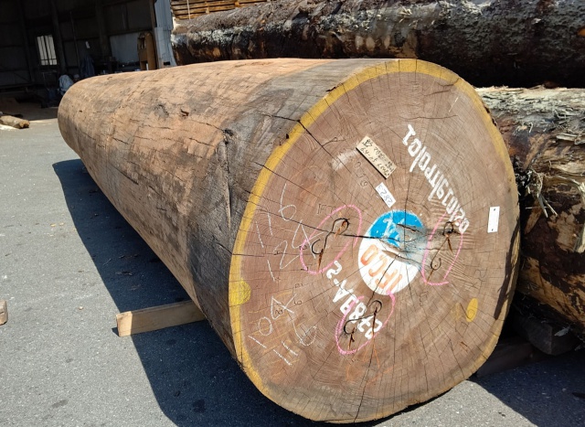 アフリカンマホガニー　無垢材