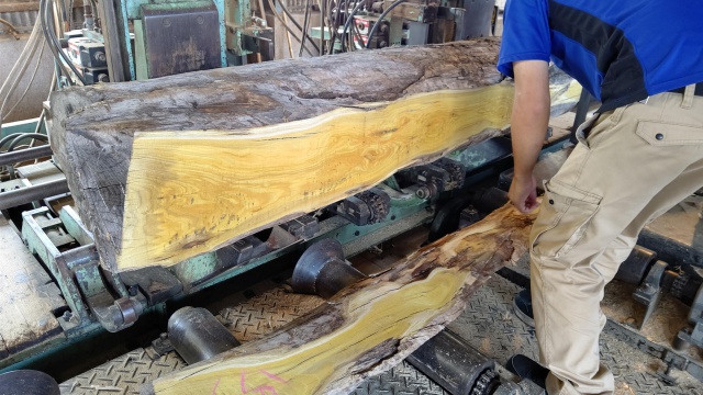 梅（ウメ）　無垢材