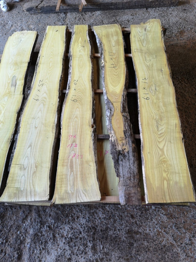 梅（ウメ）　無垢材