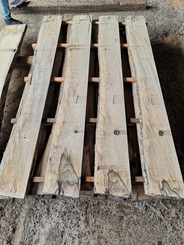 柿（カキ）　無垢材