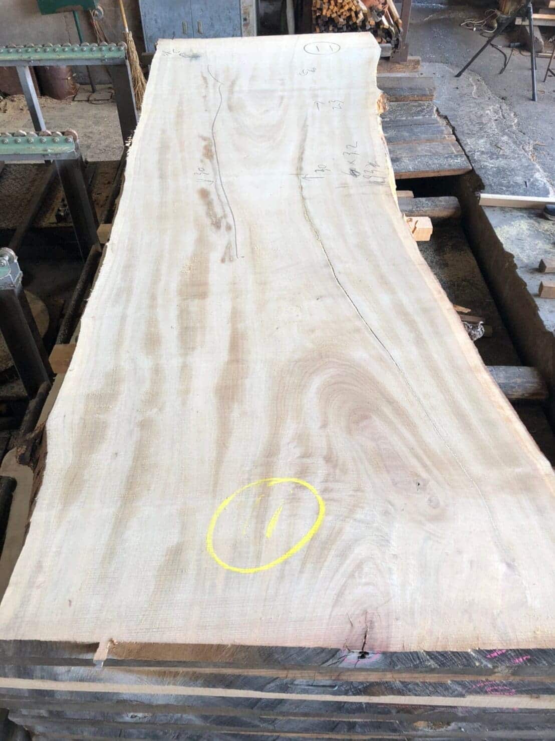 楠(クス) 無垢材